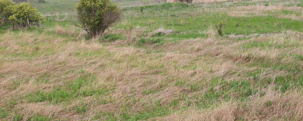 Фотография деревни Суры