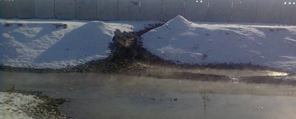 
            Фотография Урангая