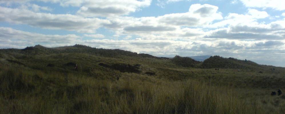 
            Фотография Сискейла