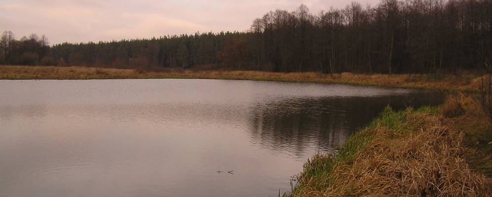 
            Фотография Барды