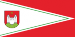 Флаг Чашников