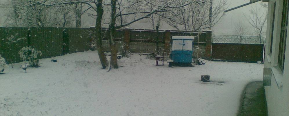 
            Фотография Вишневого