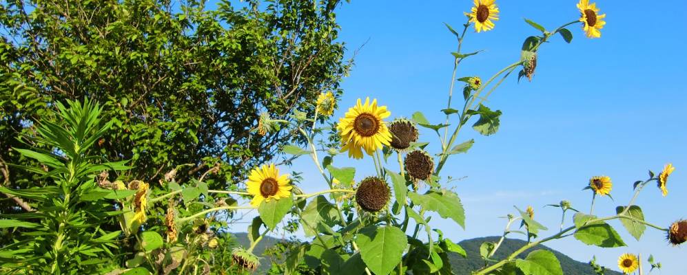 
            Фотография Макабе