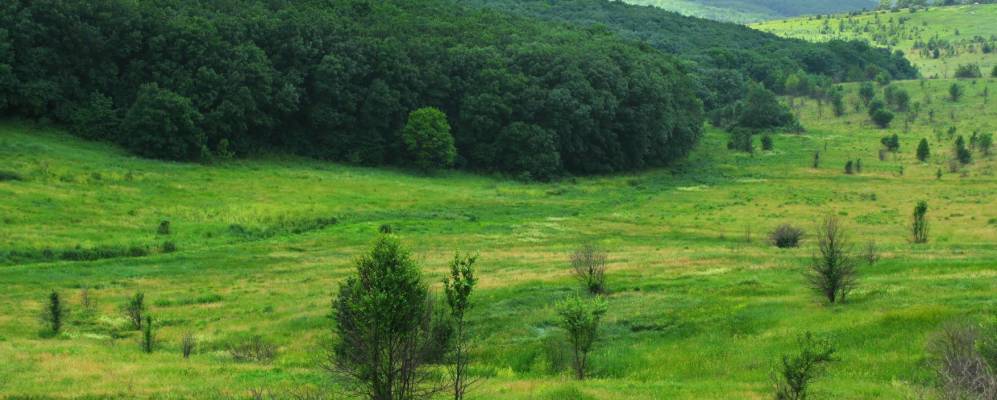 
            Фотография Новостепановки