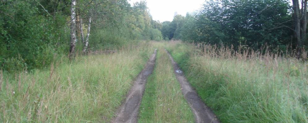 
            Фотография деревни Гостены