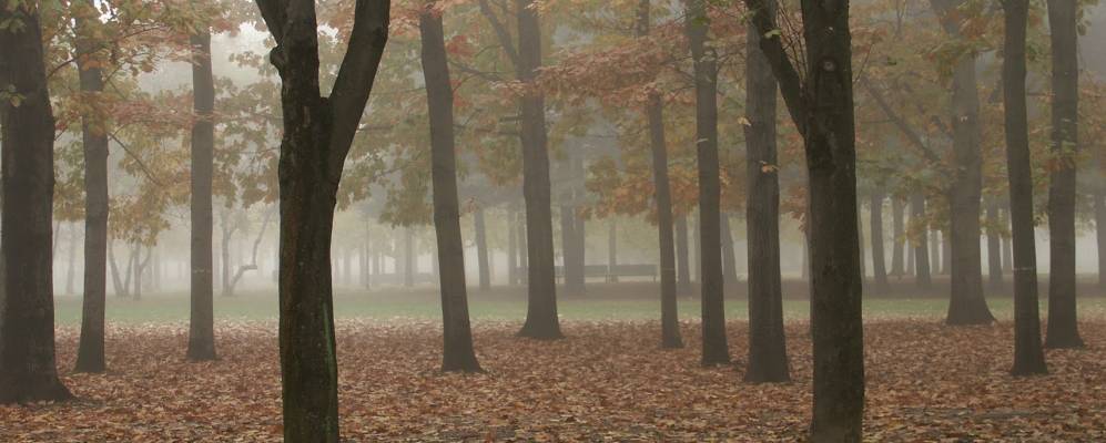 
            Фотография Брессо