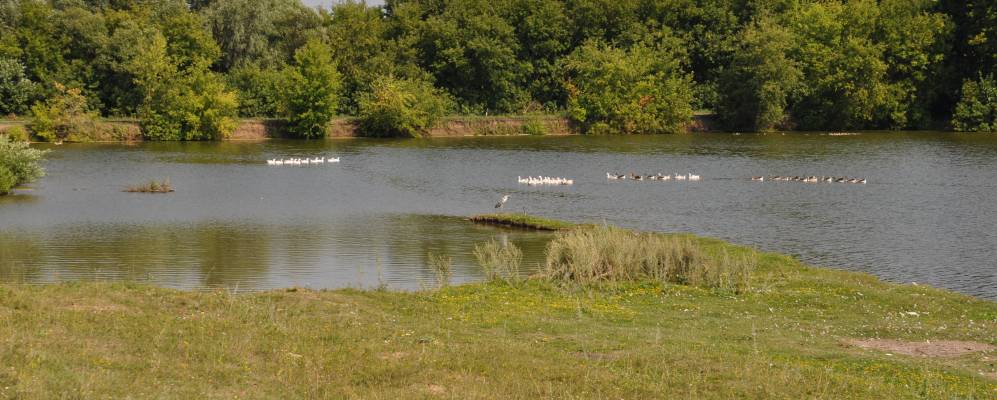 
            Фотография Ольшанки