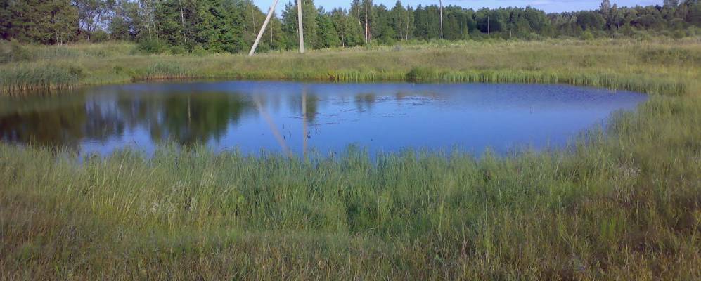 Фотография Дубровки