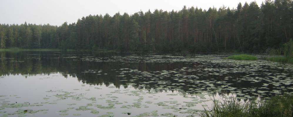 
            Фотография Большой Крестовой