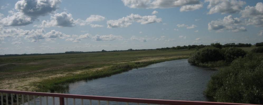 
            Фотография Сорочихи