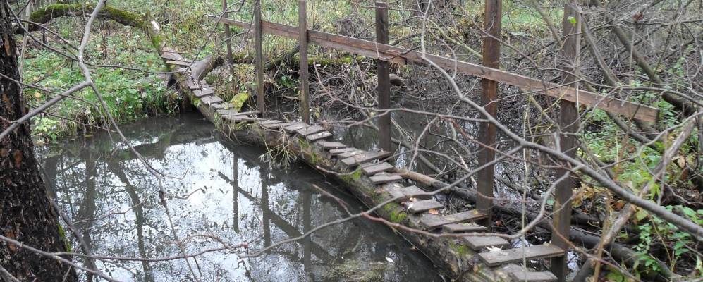 
            Фотография Мясищево