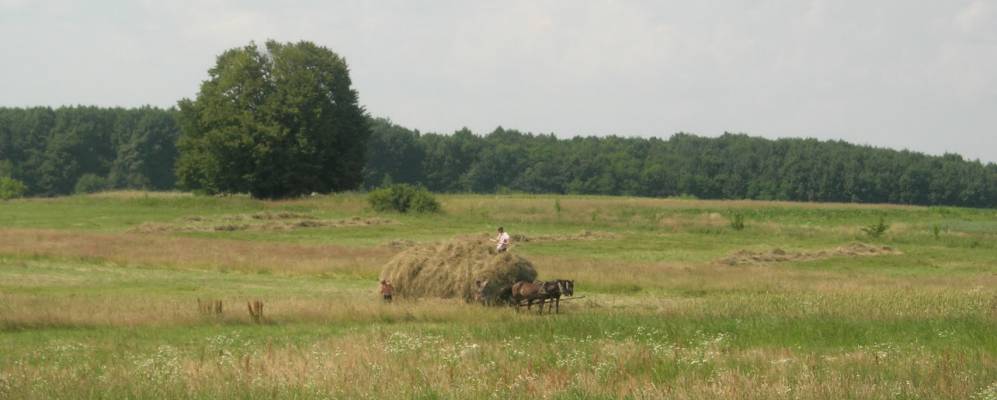 
            Фотография Великие Мокряны