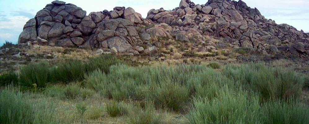 
            Фотография Педро-Бернардо