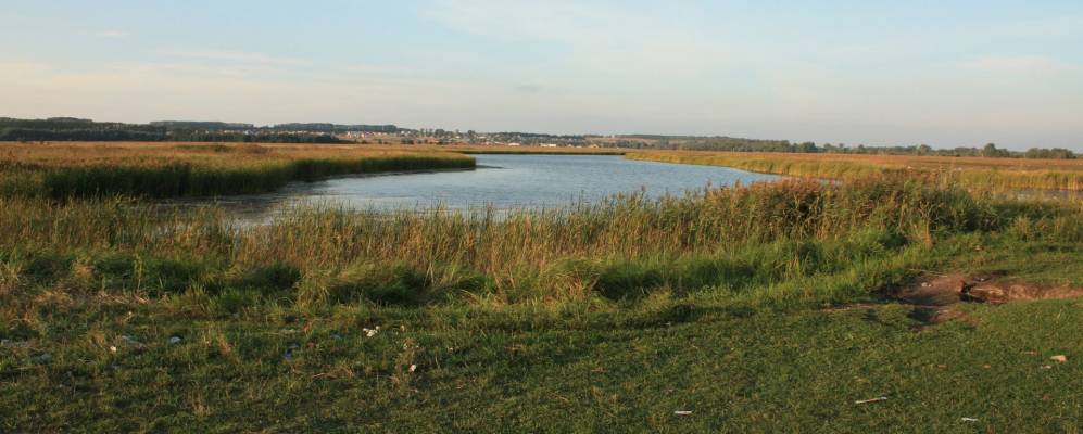 
            Фотография Новобулгаково