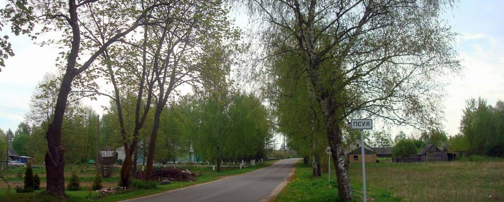 
            Фотография Псуи