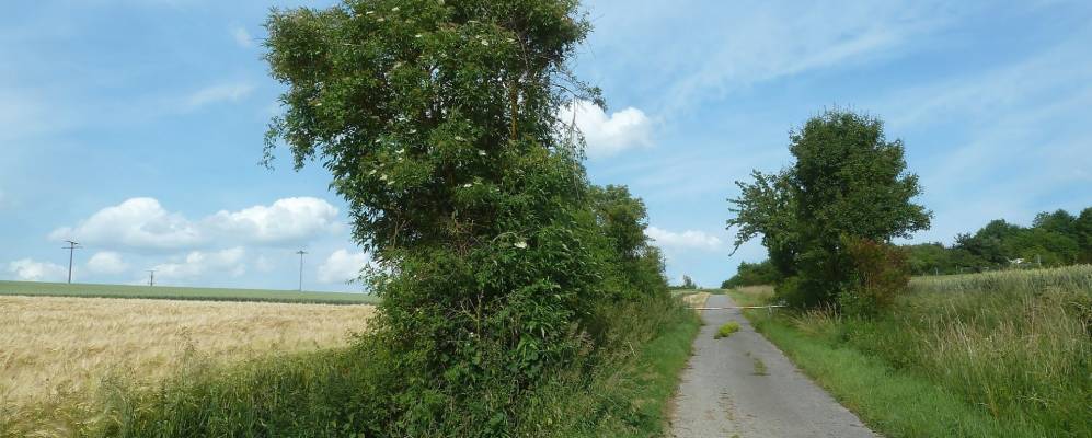 
            Фотография Айзингена