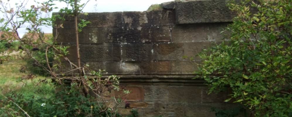 
            Фотография Вест-Окленда