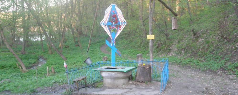 
            Фотография Радаловки