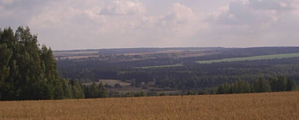 
            Фотография Кузнецов