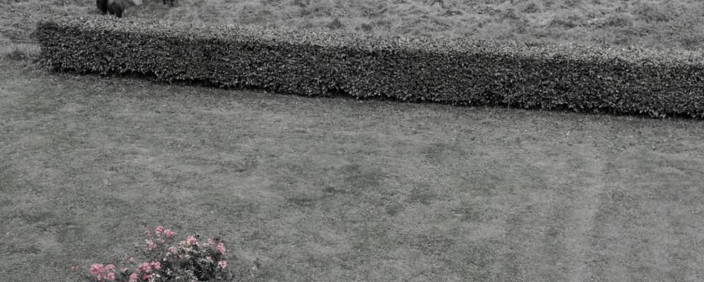 
            Фотография Беана