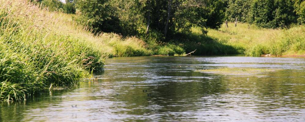 Фотография Крутово