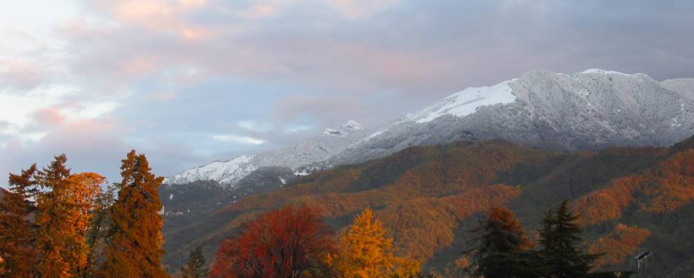 
            Фотография Скио