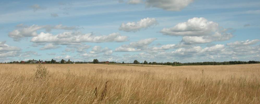 Фотография Курово