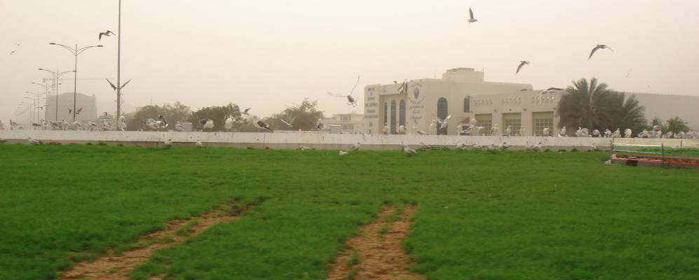 
            Фотография Хор-Факкана