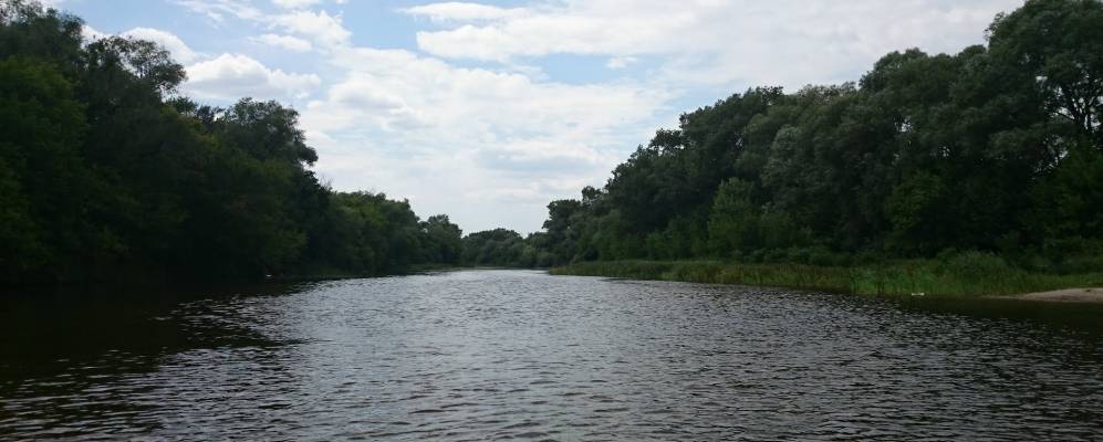 
            Фотография Ольхового