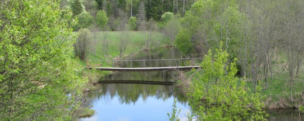 
            Фотография поселка Лесничество Кубрянское