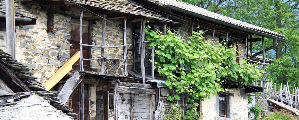 
            Фотография Индемини