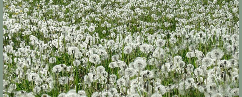 
            Фотография Владимировки