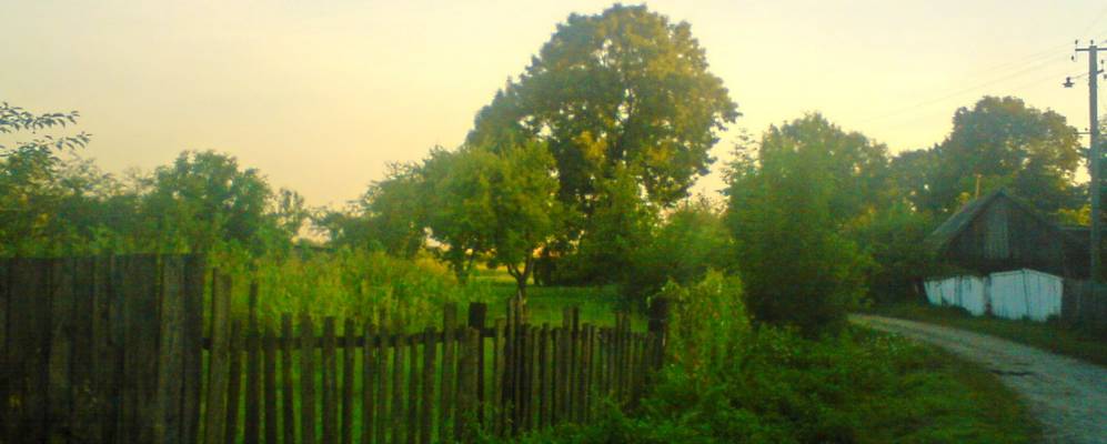 
            Фотография Горпина