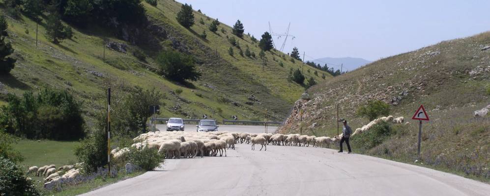 
            Фотография Камарды