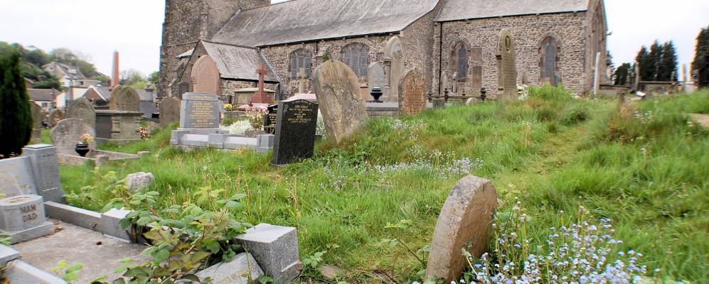 
            Фотография Беддо