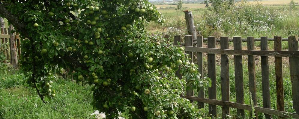 
            Фотография Копытово