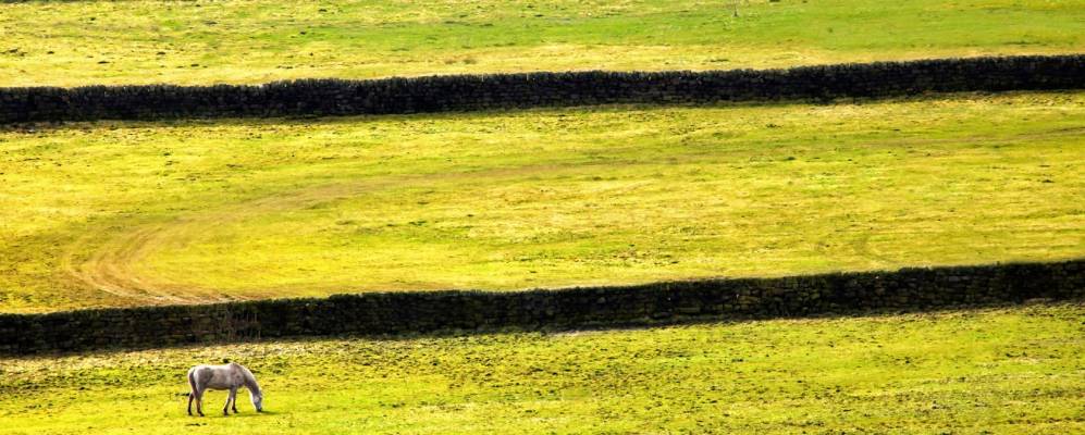 
            Фотография Куинсбери