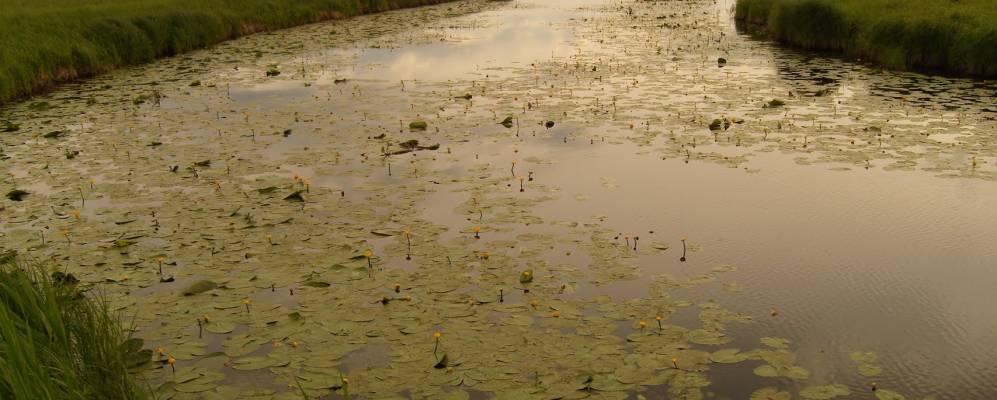 Фотография Неусыпаевки
