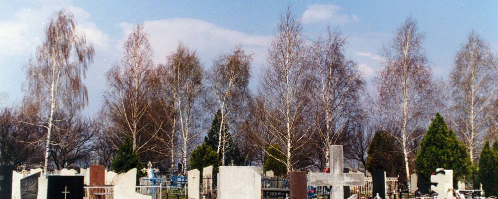 
            Фотография Лозки