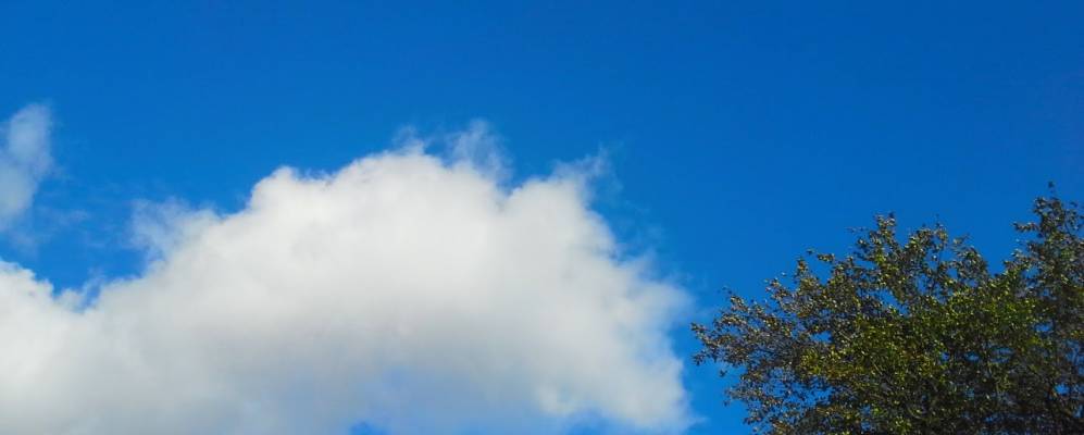 Фотография Брусенцово