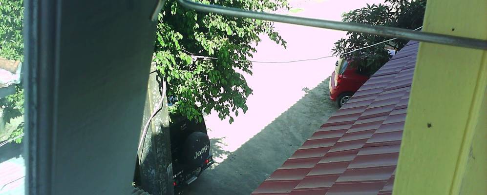 
            Фотография Пундонга