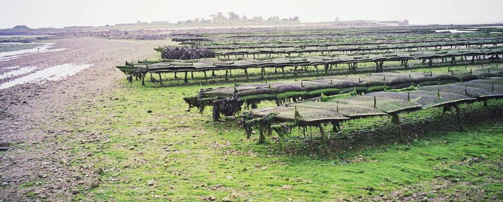 
            Фотография Сен-Вааст-ля-Уга