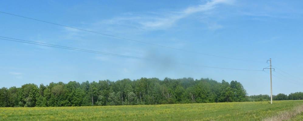 
            Фотография Соболево