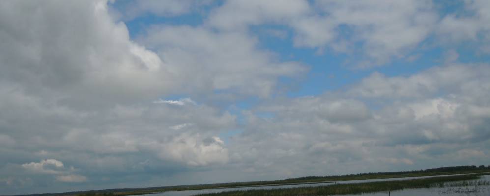 
            Фотография Смелого