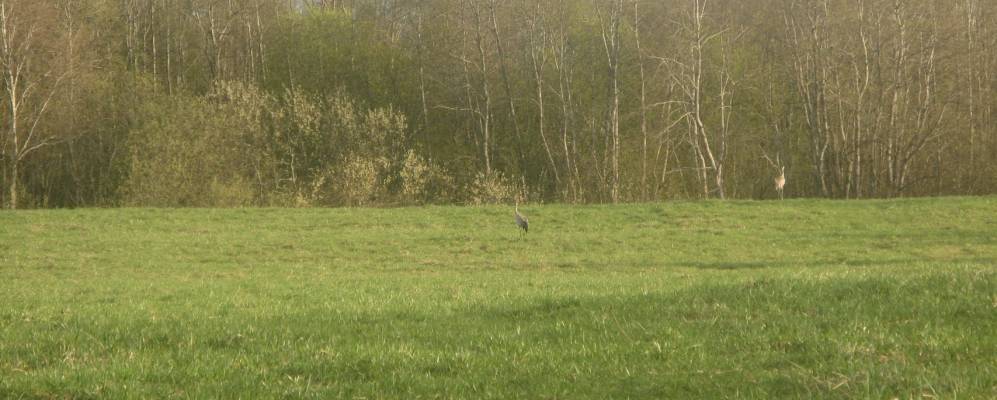 
            Фотография деревни Уструги