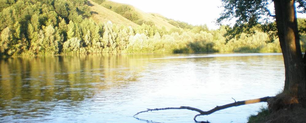 
            Фотография Сурангулово