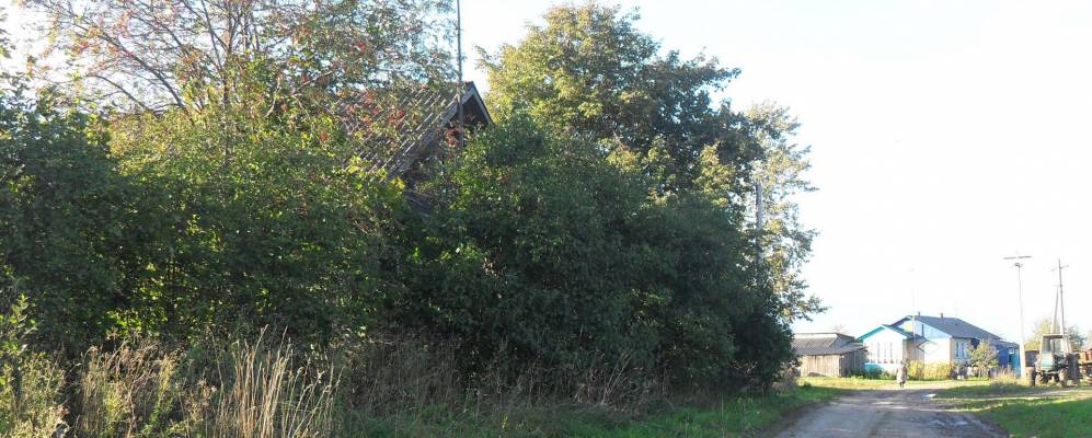 
            Фотография Кривцово