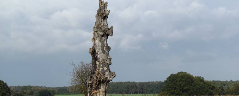 
            Фотография Штаймбке