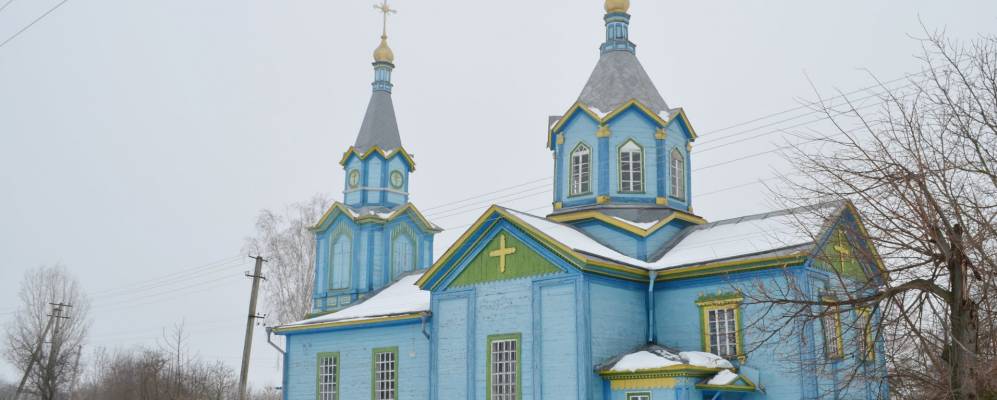 
            Фотография Тростинки