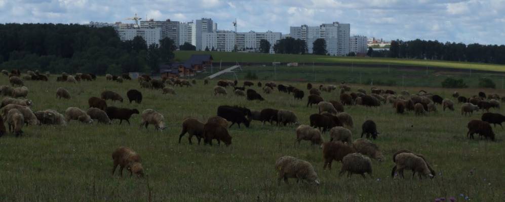 
            Фотография Зыбинки